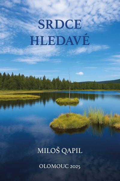 Srdce hledavé